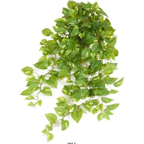 Pothos artificiel retombant en pot, L 100 cm (1/3)