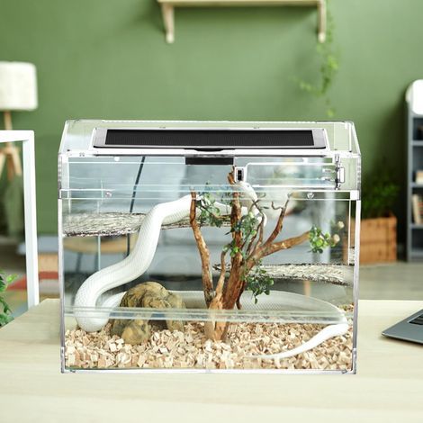 Reptilien-Futterbox, transparent, mit Belüftungslöchern, Sicherheitsverschluss, für Terrarien (1/5)