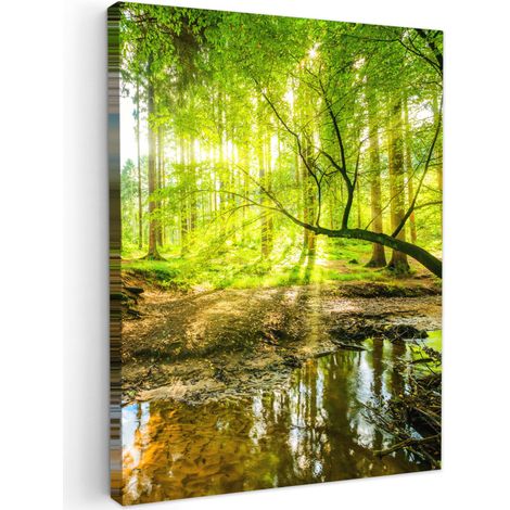 CUADRO EN LIENZO Bosque - Paisaje - Agua - Árboles - Sol - Verde - Naturaleza Cuadros Decorativos 60x80 cm