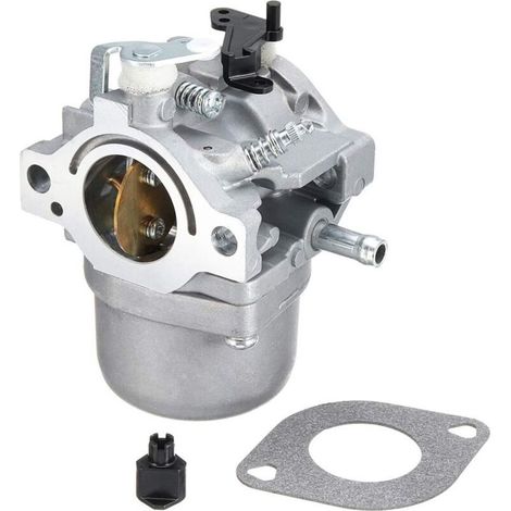 Carburateur & Joint Moteur Pièces Compatible avec Briggs & Stratton LMT 5-4993 (1/4)