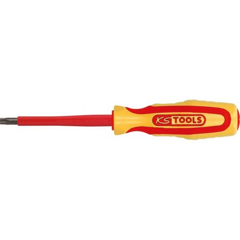 Tournevis isolé Torx, T40 (1/5)