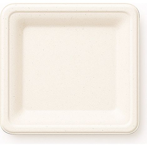 Guillin-Schilfzellstoff-Quadratplatten 20 cm 50 Stück