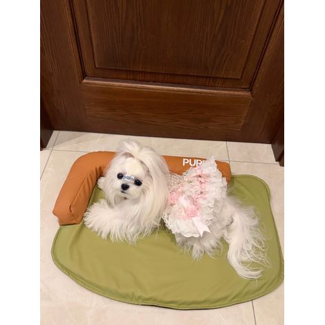 Tapis pour chien Ortviai M 60x40cm imperméable lavable avec oreiller intégré confort vert olive antidérapant (1/4)