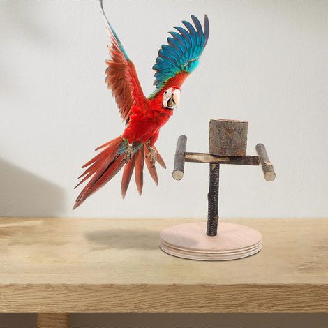 Support de dressage pour oiseaux, perchoir en bois compatible avec les perroquets, ensemble de 4 pièces à poser sur une table (1/4)