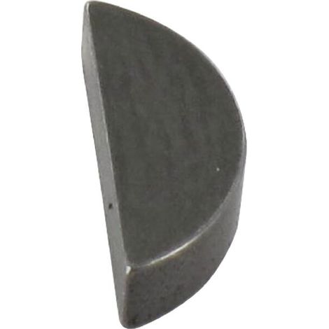 Chiavetta ALPINA 3151010 - GGP - 3151010
