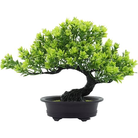 Bonsai Pin Artificiel - Hauteur 24 cm - Largeur 32 cm - Pot Carré 6,1 x 6,1 x 2,1 cm - Décoration Intérieure - 1 Pièce (1/5)