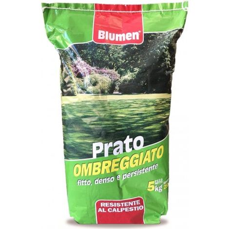 SEMI PRATO FORTE OMBREGGIATO 5KG BLUMEN