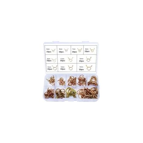 Collier de serrage 100 pièces – Acier galvanisé – Diamètres 5 à 14 mm – Pour plomberie et automobile – Boîte de rangement incluse - 100PCS (1/5)