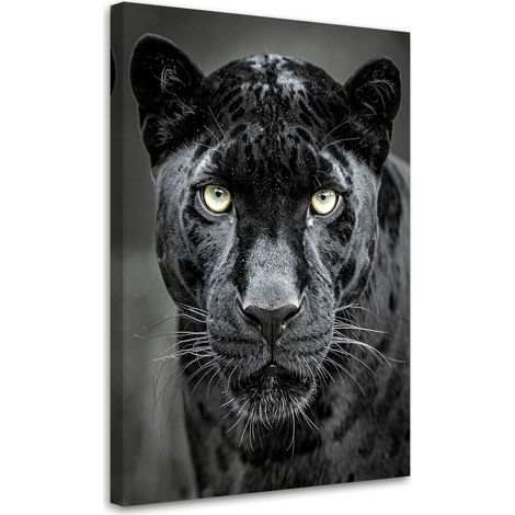 Image sur Toile, Panthère noire animaux nature,20x30 (1/4)