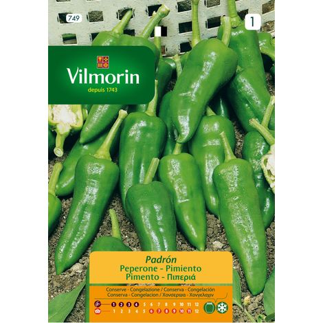 Vilmorin Padron Pfeffersamen S-1 749, 0,3 g