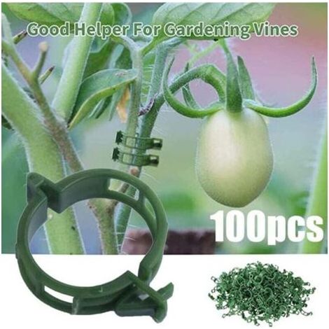 Ulisem Lot de 100 clips de support pour plantes grimpantes 2,5 cm (1/4)
