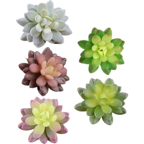 Plantes Succulentes Artificielles en PVC Réalistes 5pcs Structure à Tige, Décoration pour Photographie et Manuels, Ornement Intérieur et Extérieur (1/5)