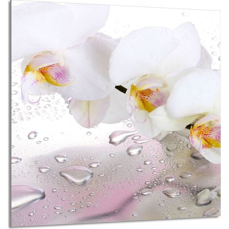 PANEL DE VIDRIO PARA COCINA 60x65 Orquídea (1/5)