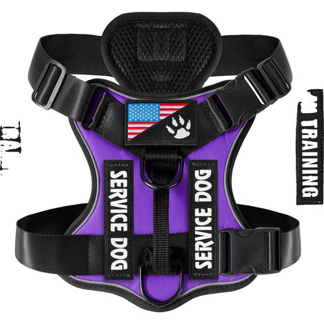 Harnais pour chien, gilet réfléchissant, ajustement réglable, L, VIOLET (1/2)