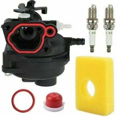 Vergaser-Reparatursatz für Briggs & Stratton (1/3)