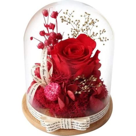 Rose Eternelle sous Cloche - Naturelle - Rouge - Cadeau pour Femmes - Saint-Valentin Fête des Mères