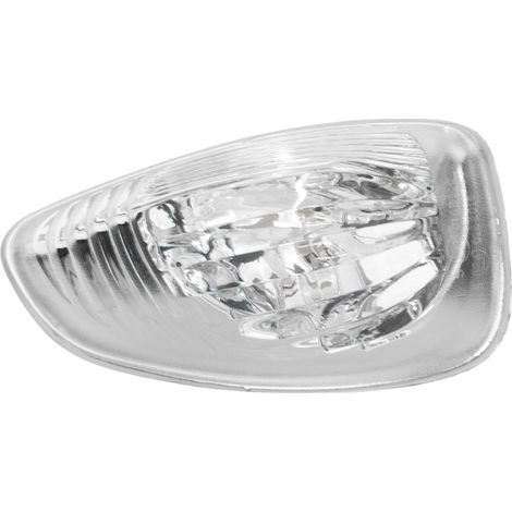 Renault Master 2010 - Intermitente izquierdo BLANCO en el retrovisor