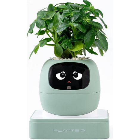 Smarter Blumentopf mit KI-Ausdruck, interaktiver Anzeige, intelligente Pflanzenpflege, Minze (1/5)