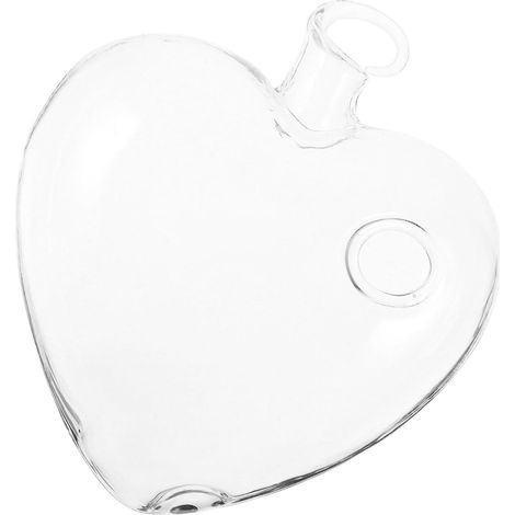 Vase suspendu TEHAUX pour fleurs hydroponiques en verre borosilicate (1/5)