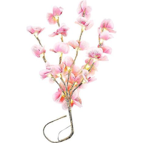 1 branche de Phalaenopsis lumineuse