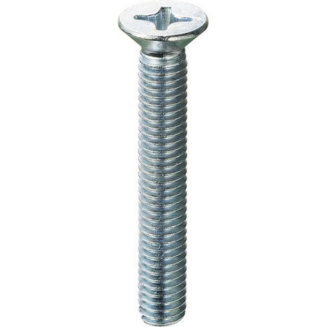 200PZ VITE PER METALLO TSP ZINCATA M 5x30 mm.