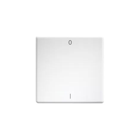 Eltako Wippe lasergraviert f.55x55mm rws/glänz W-FT55-wg+IO (1/2)