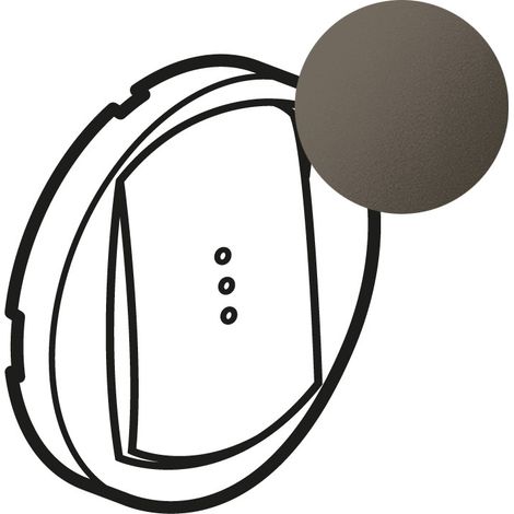 Enjoliveur pour interrupteur temporisé et ventilation - Céliane - Graphite - 067936 - Legrand (1/2)