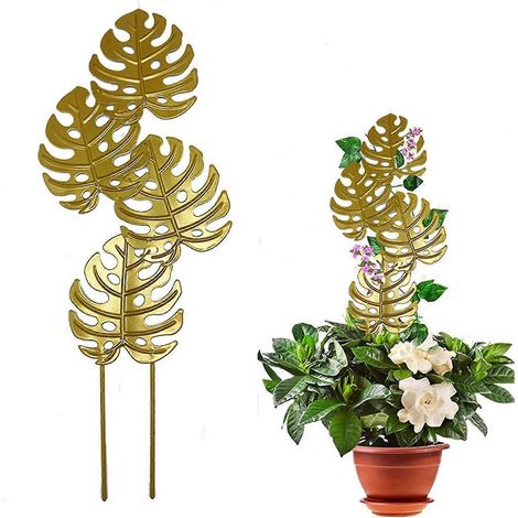 Filiyano – Support pour plantes d – Tuteur pour Monstera grimpante - Favorise la croissance naturelle des plantes - Support pour plantes d'intérieur (1/2)