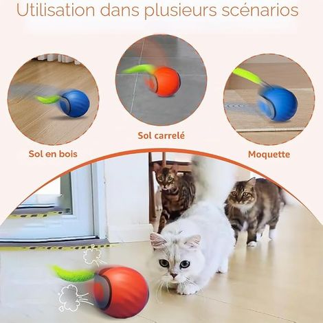 Balle de Jouets pour Chats, Jouet pour Chien et Chat, Balle Roulante avec Queue (Bleu) (1/4)