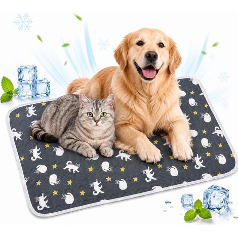 Dog and Cat Refreshing Mat, Washable, for Summer (50 x 40 cm) (1/5)