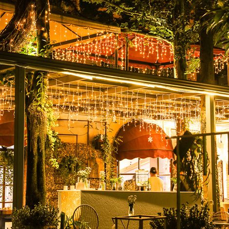 Guirlande lumineuse LED de Noël 220 V, rideau lumineux à glaçons, éclairage décoratif d'extérieur pour fête, jardin, scène