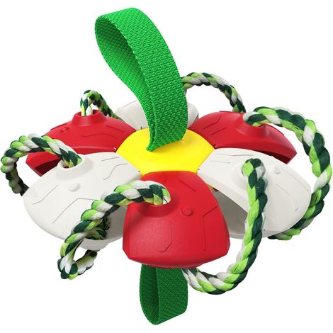 Jouet interactif pour chien, frisbee et ballon de football pour l'entraînement en extérieur, jouet multifonctionnel portable pour chien, en plastique, forme unique aux couleurs vives. (1/5)