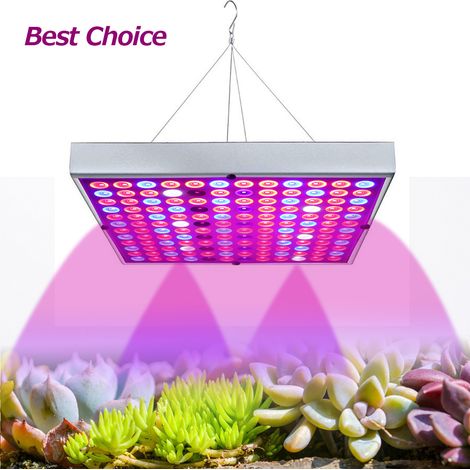 Lampe de croissance, spectre total de 25 W-AquaForge (1/3)