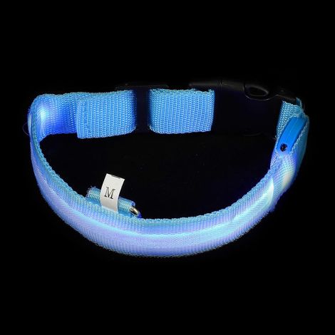 Collier lumineux pour chien, collier lumineux rechargeable, lot de 4 (1/5)