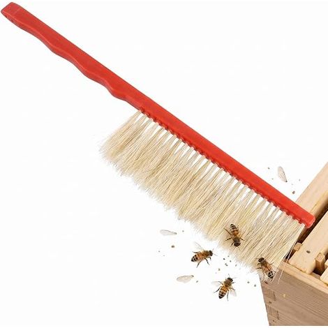 Brosse D'apiculture en Plastique à Poils Doux pour Nettoyage des Abeilles Cadres, Outil Léger Matériel Apicole (1/5)