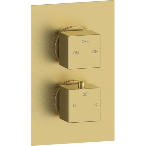 Signature Advance Thermostatic 2 Outlet Concealed Shower Valve Dual Handle - Brushed Brass