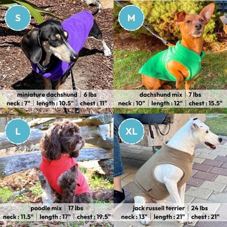 Cappotto per cani - Gilet in pile per cani - Cappotto invernale per cani - Cappotto caldo per cani - Cappotto in pile pullover per cani - Guinzaglio con anello a O - Perfetto per cani di piccola tagli (1/4)