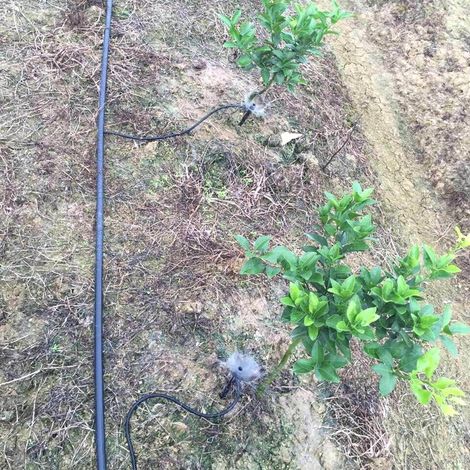 Arroseur Goutte à Goutte - Rotatif 360° - Débit Réglable 0-90 L/h - Pour Système d'Irrigation Micro-Goutte à Goutte - 10 Pièces (1/5)