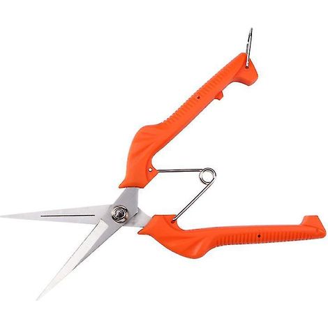 paire de ciseaux de jardinage pour jardin