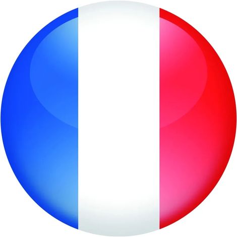 Cheville anneau échafaudage ING Fixations - 130