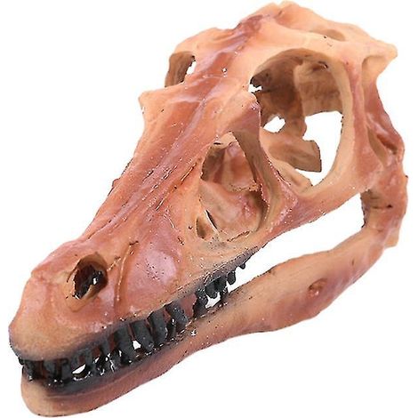 1 ornement de bureau en forme de crâne de dinosaure pour décorations d'Halloween