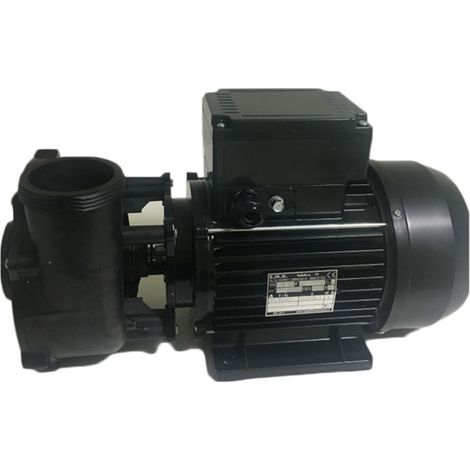 Ricambio pompa idromassaggio per minipiscine Teuco 81000112000 (1/4)