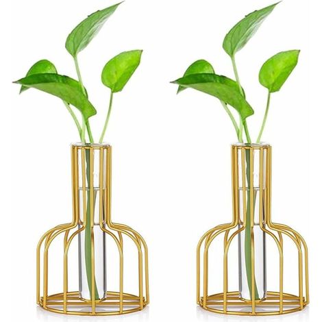 Mini-Vasen-Set, kleine Vasen für Tischdekoration, moderne Hydrokultur-Vase für Knospenblumen, Glasvase, Reagenzgläser (Gold) – Fei Yu (1/4)
