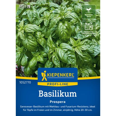 Kiepenkerl Profi-Line Saatgut Basilikum Prospera F1 für ca. 50 Pflanzen (1/2)