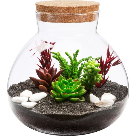 Terrarium En Verre Transparent 6.30X5.91X5.91 Pouces Avec Couvercle En Liège Bouteille Écologique Pour Micro-Paysage Diy Décoration Intérieure Moderne (1/5)