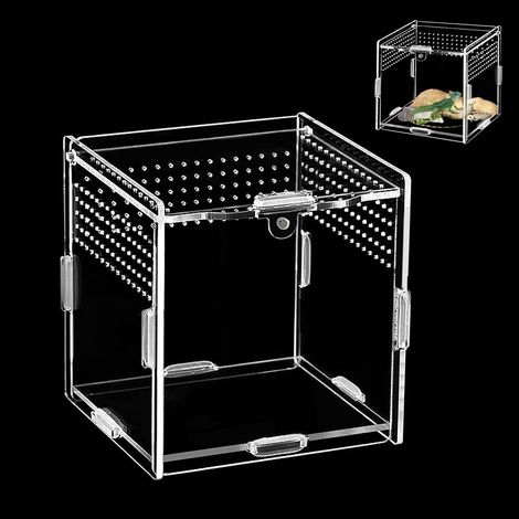 Boîte Alimentation Reptiles Acrylique 10x10x10 cm Mini terrarium facile à nettoyer,Pour araignées, sauteuses, lézards, escargots (1/5)