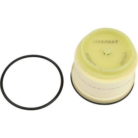 Filtre à carburant rapide FT01340 (1/2)