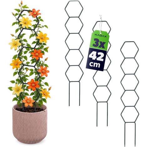 Filiyano – Support pour plantes et fleurs KADAX, échelle métallique, lot de 3 (1/5)