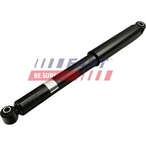 FT11075 ammortizzatore rapido POSTERIORE S/R olio (1/3)