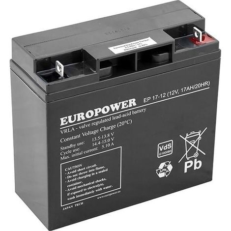 Batería AGM EUROPOWER 19234 EP 17-12 12V 17AH Negro